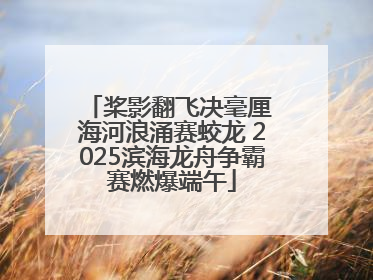 桨影翻飞决毫厘 海河浪涌赛蛟龙 2025滨海龙舟争霸赛燃爆端午