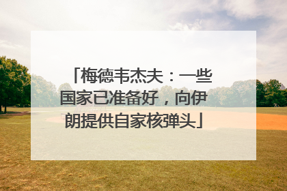 梅德韦杰夫：一些国家已准备好，向伊朗提供自家核弹头