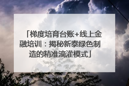 梯度培育台账+线上金融培训：揭秘新泰绿色制造的精准滴灌模式