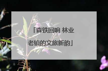 森铁回响 林业老镇的文旅新韵