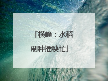 横峰：水稻制种插秧忙