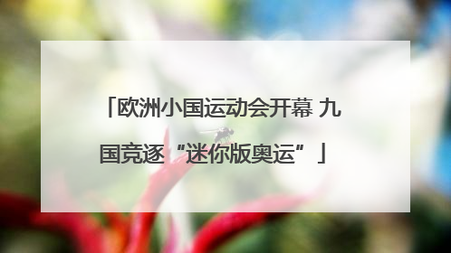 欧洲小国运动会开幕 九国竞逐“迷你版奥运”