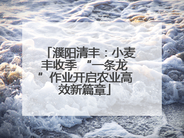 濮阳清丰：小麦丰收季 “一条龙”作业开启农业高效新篇章