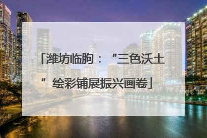 潍坊临朐：“三色沃土”绘彩铺展振兴画卷
