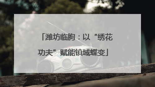 潍坊临朐：以“绣花功夫”赋能镇域蝶变