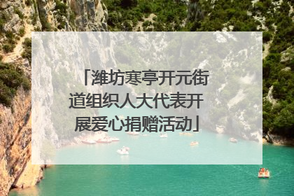 潍坊寒亭开元街道组织人大代表开展爱心捐赠活动