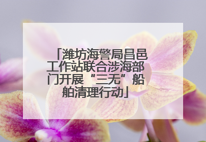 潍坊海警局昌邑工作站联合涉海部门开展“三无”船舶清理行动