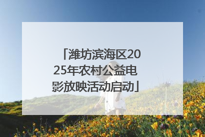 潍坊滨海区2025年农村公益电影放映活动启动