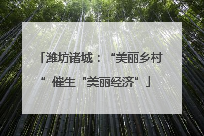 潍坊诸城：“美丽乡村”催生“美丽经济”