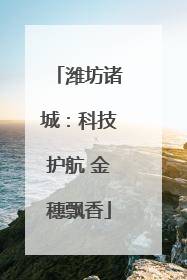 潍坊诸城：科技护航 金穗飘香
