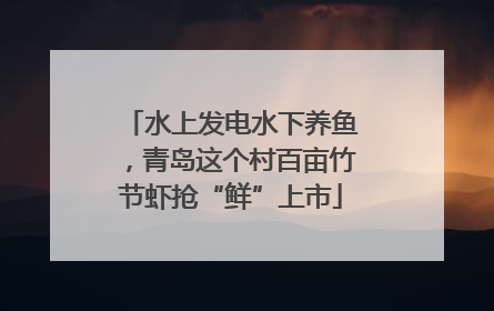 水上发电水下养鱼，青岛这个村百亩竹节虾抢“鲜”上市
