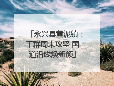 永兴县黄泥镇：干群周末攻坚 国道沿线焕新颜