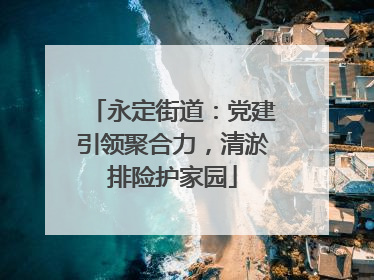 永定街道：党建引领聚合力，清淤排险护家园