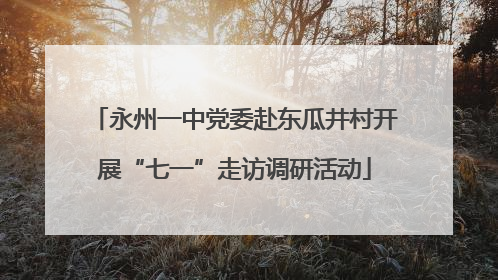 永州一中党委赴东瓜井村开展“七一”走访调研活动