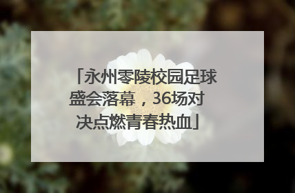 永州零陵校园足球盛会落幕，36场对决点燃青春热血