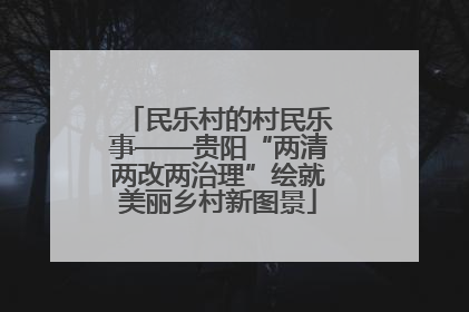 民乐村的村民乐事——贵阳“两清两改两治理”绘就美丽乡村新图景