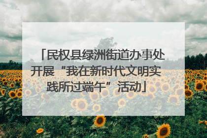 民权县绿洲街道办事处开展“我在新时代文明实践所过端午”活动
