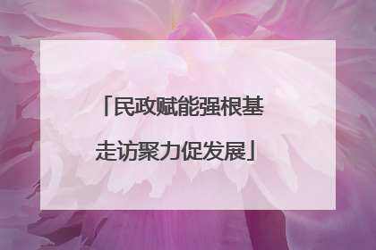 民政赋能强根基 走访聚力促发展