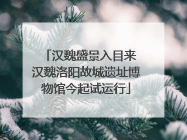 汉魏盛景入目来 汉魏洛阳故城遗址博物馆今起试运行