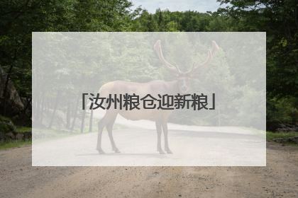 汝州粮仓迎新粮