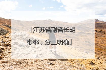 江苏省副省长胡彬郴，分工明确