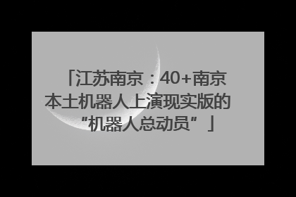 江苏南京：40+南京本土机器人上演现实版的“机器人总动员”