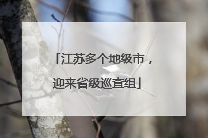 江苏多个地级市，迎来省级巡查组