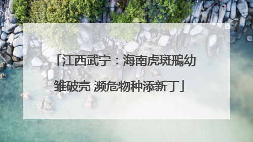 江西武宁：海南虎斑鳽幼雏破壳 濒危物种添新丁