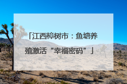 江西樟树市：鱼塘养殖激活“幸福密码”
