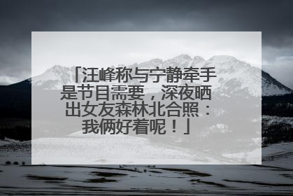 汪峰称与宁静牵手是节目需要，深夜晒出女友森林北合照：我俩好着呢！