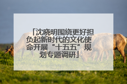 沈晓明围绕更好担负起新时代的文化使命开展“十五五”规划专题调研