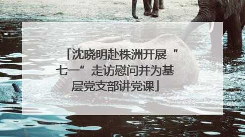 沈晓明赴株洲开展“七一”走访慰问并为基层党支部讲党课