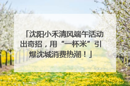 沈阳小禾清风端午活动出奇招，用“一杯米”引爆沈城消费热潮！