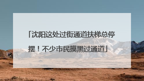 沈阳这处过街通道扶梯总停摆！不少市民摸黑过通道