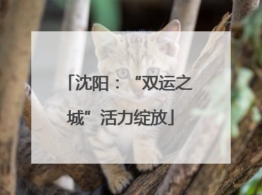 沈阳：“双运之城”活力绽放