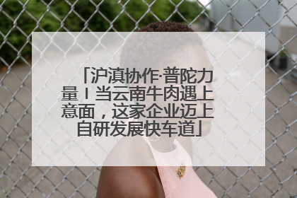 沪滇协作·普陀力量〡当云南牛肉遇上意面，这家企业迈上自研发展快车道