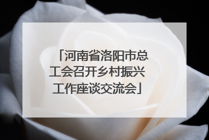 河南省洛阳市总工会召开乡村振兴工作座谈交流会