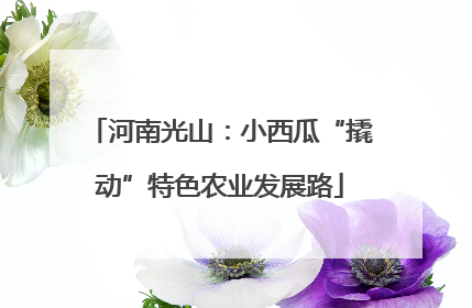 河南光山：小西瓜“撬动”特色农业发展路