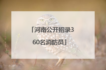 河南公开招录360名消防员