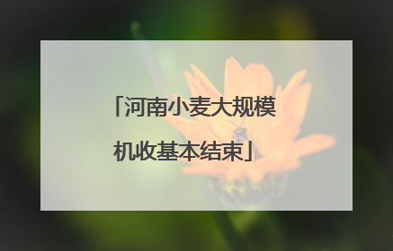 河南小麦大规模机收基本结束