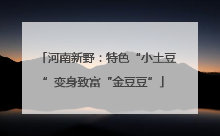 河南新野：特色“小土豆”变身致富“金豆豆”