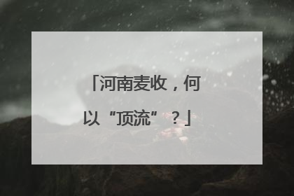 河南麦收，何以“顶流”？