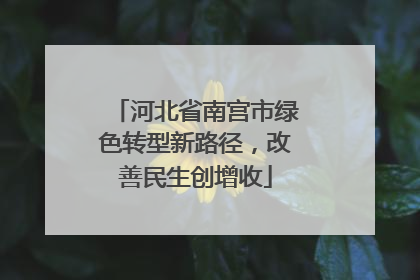 河北省南宫市绿色转型新路径，改善民生创增收