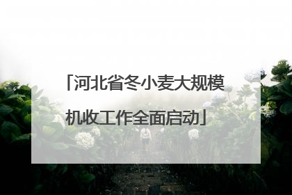 河北省冬小麦大规模机收工作全面启动