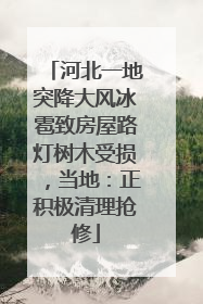 河北一地突降大风冰雹致房屋路灯树木受损，当地：正积极清理抢修