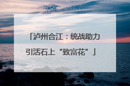泸州合江：统战助力引活石上“致富花”