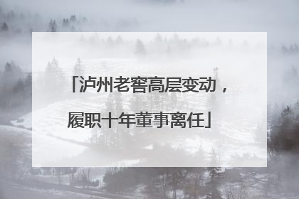 泸州老窖高层变动，履职十年董事离任