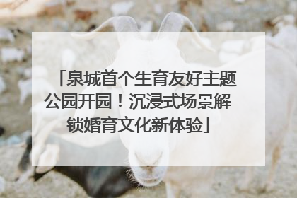 泉城首个生育友好主题公园开园！沉浸式场景解锁婚育文化新体验