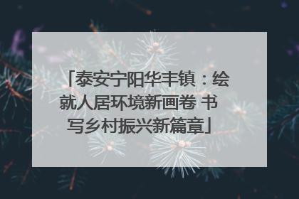 泰安宁阳华丰镇：绘就人居环境新画卷 书写乡村振兴新篇章