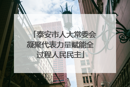 泰安市人大常委会凝聚代表力量赋能全过程人民民主